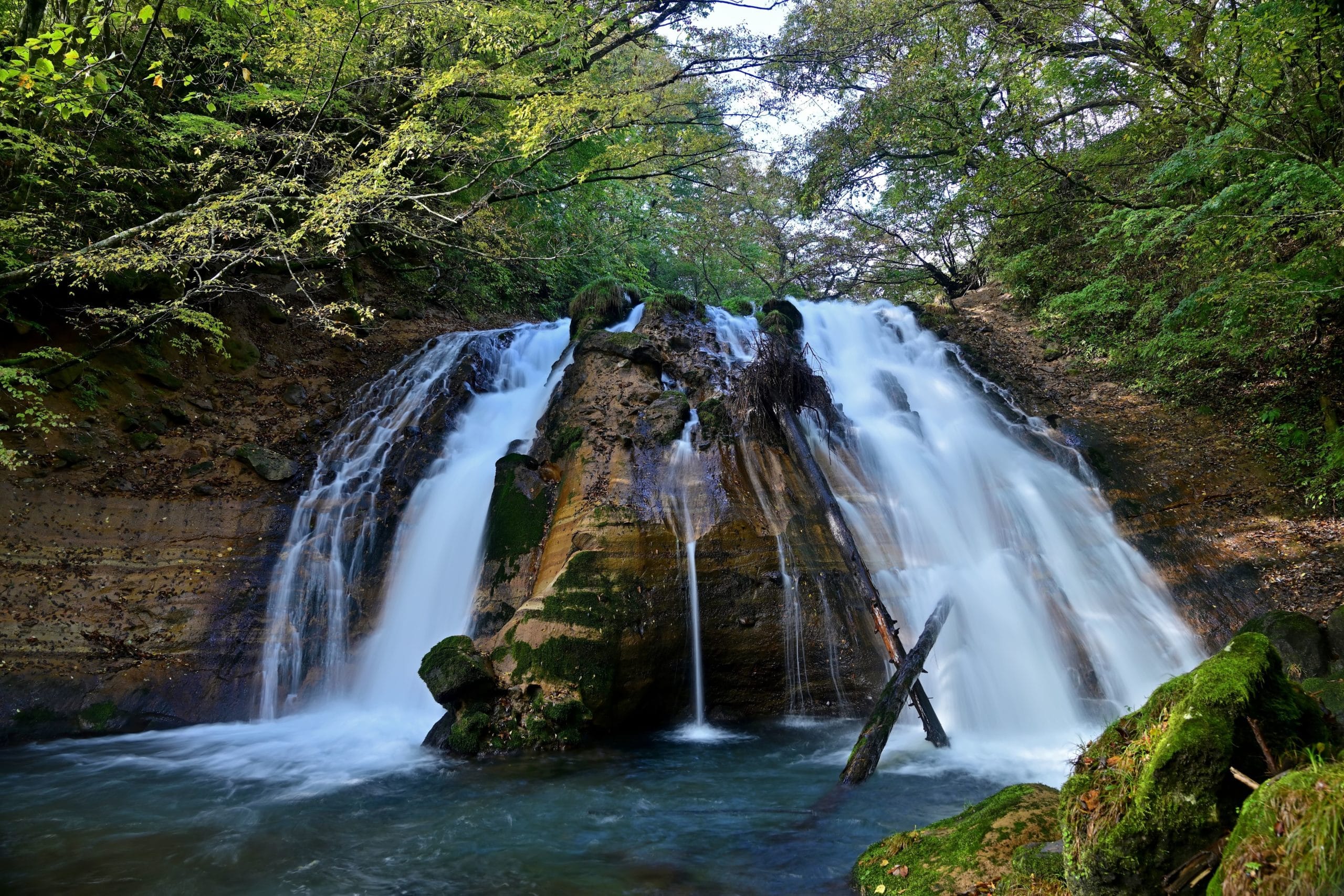 男池湧水