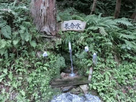 長命水