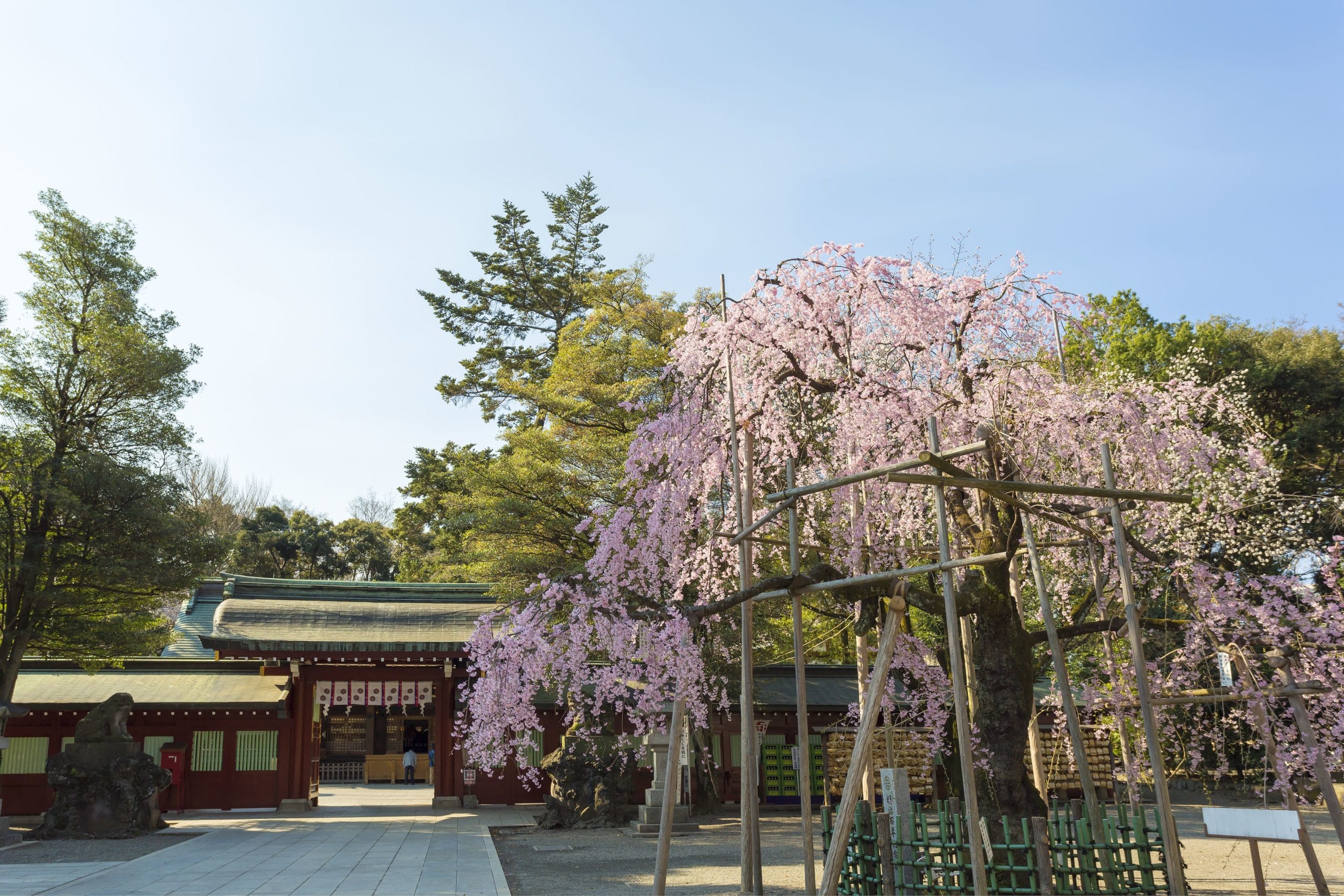 大國魂神社