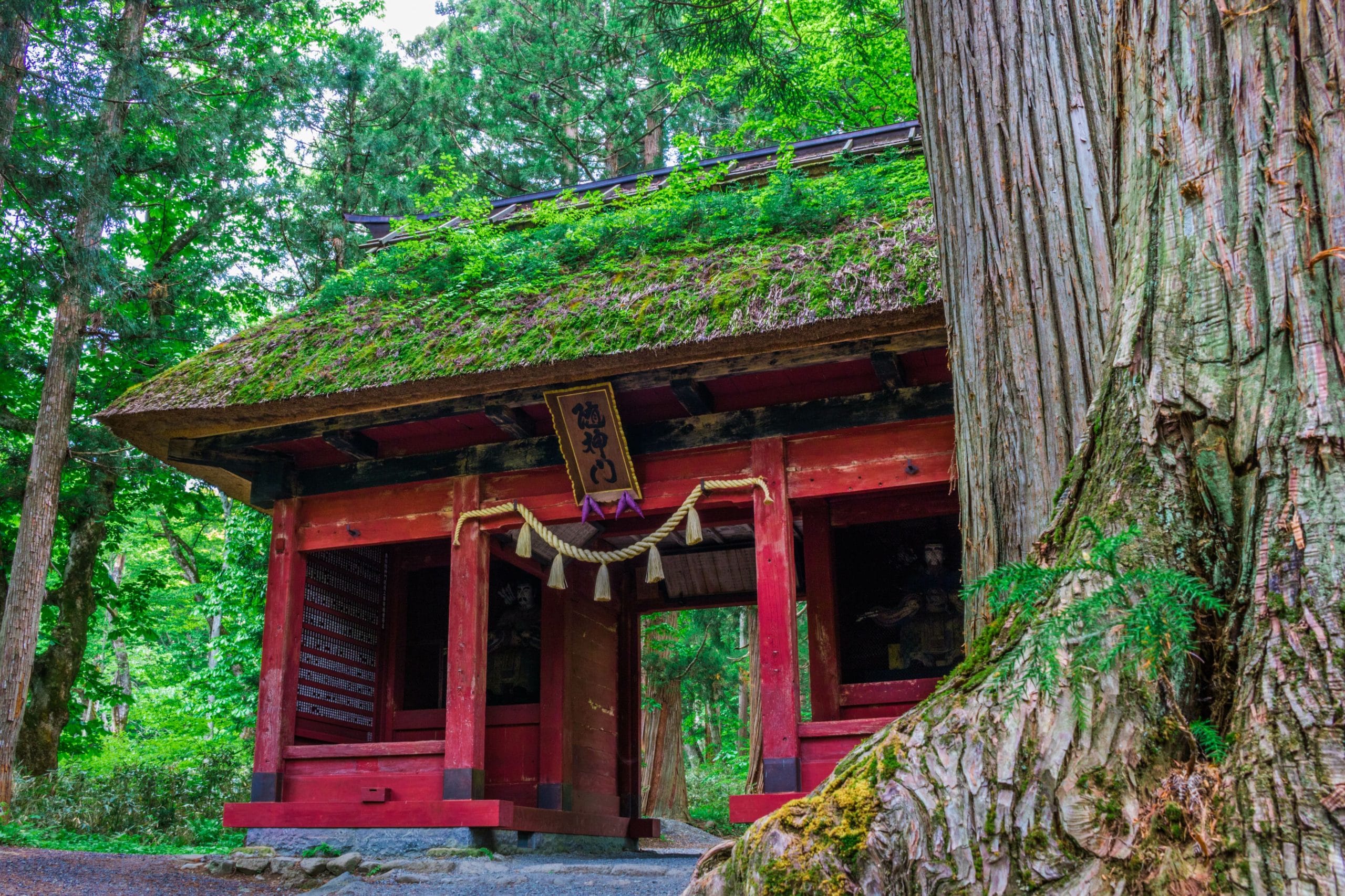 戸隠神社