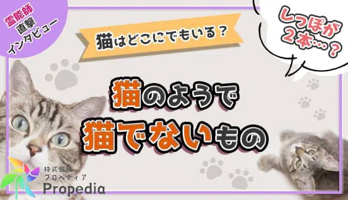 猫はどこにでもいる？猫のようで猫ではないものとは？