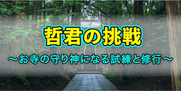 哲君の挑戦～お寺の守り神になる試練と修行～