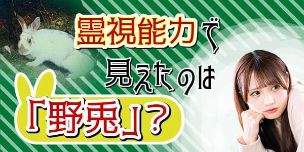 霊視能力で見えたのは「野兎」?
