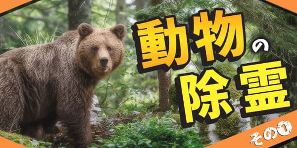 動物霊の除霊１