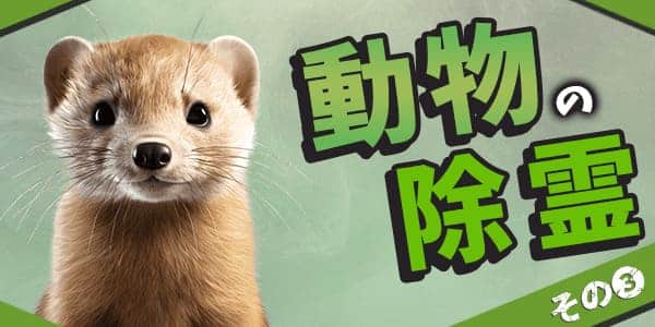 動物霊の除霊3