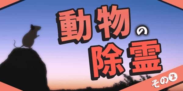 動物霊の除霊2